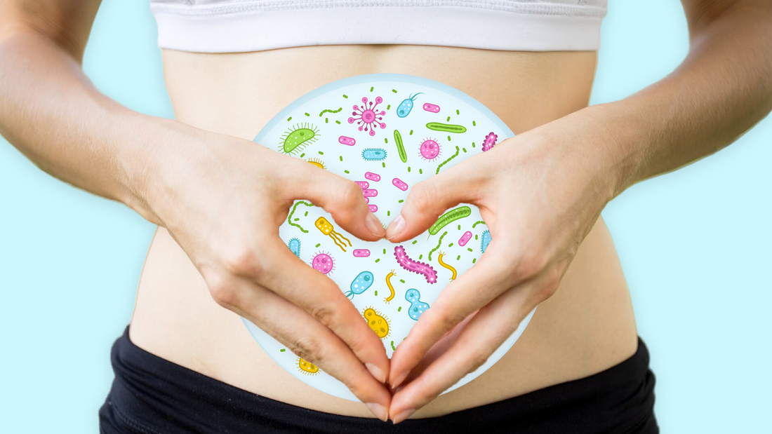 Why You Should Care About Your Gut Microbiome