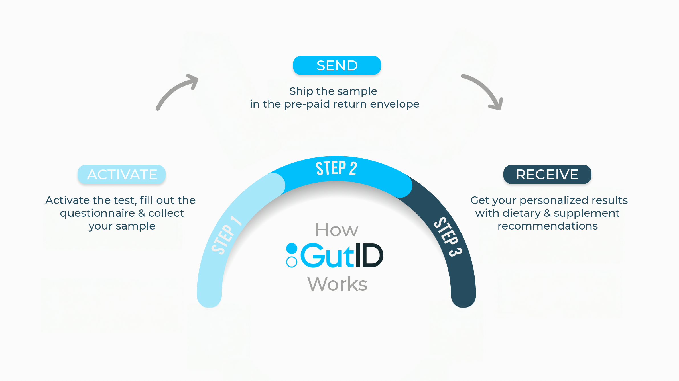 GutID CMA - Complete Microbiome Assessment US